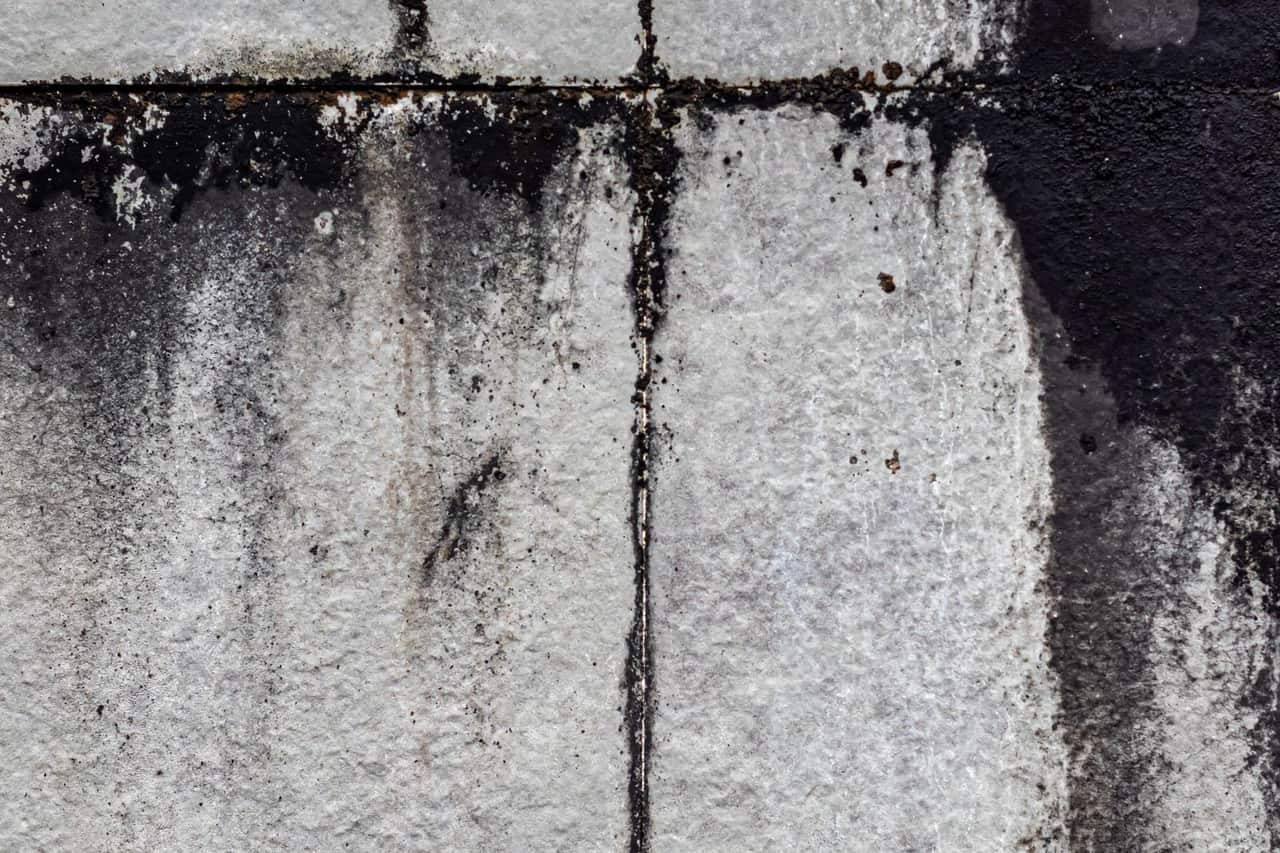 Water damage restoration Santa Monica CA: Wet grey concrete wall