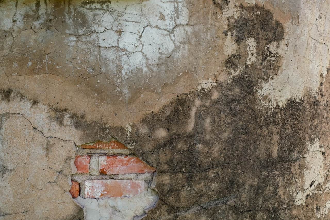 Water Damage Restoration in Springfield, TN: Creek Flooding