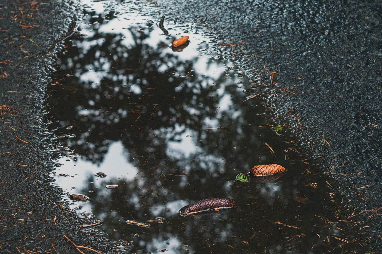 Water damage restoration Stamford CT: Close up of puddle on asphalt