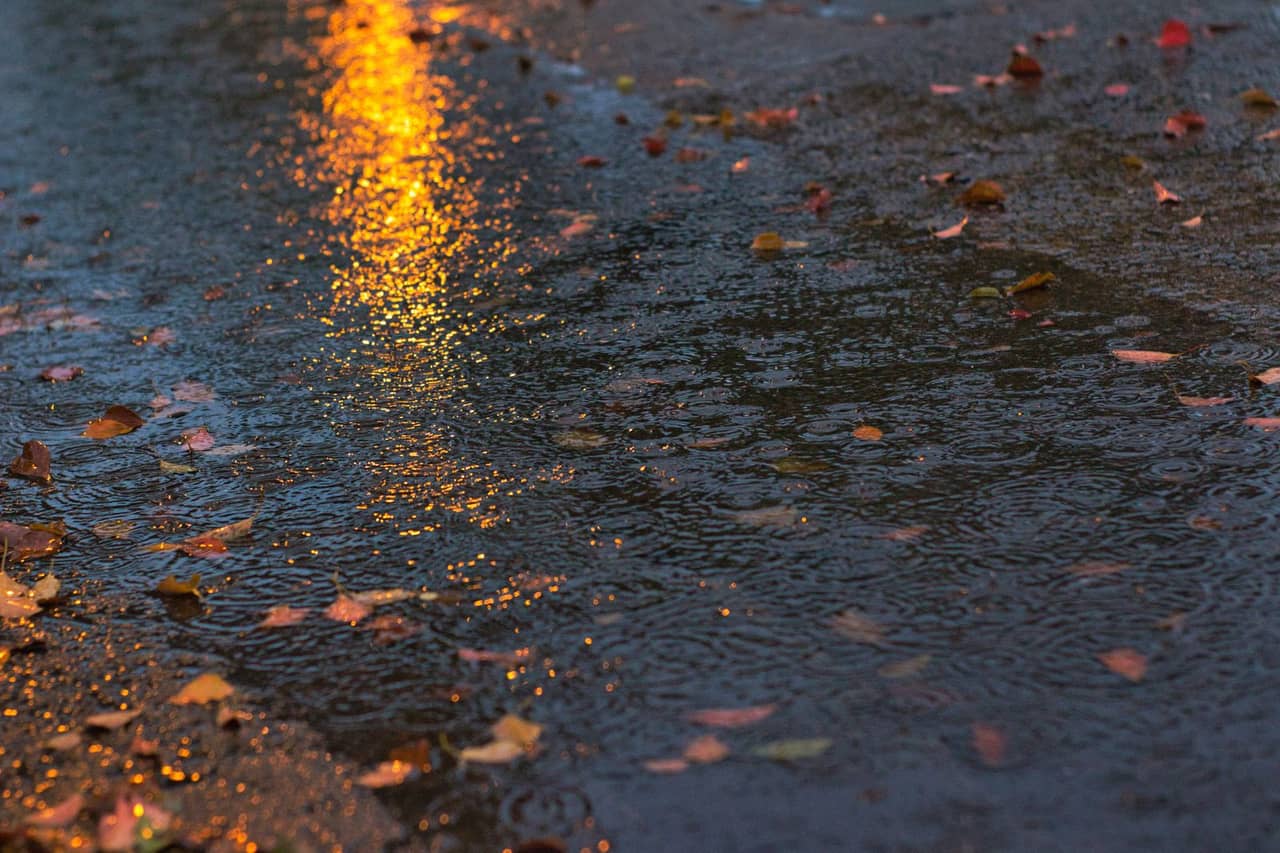 Water damage restoration Stockton CA: Close up shot of a puddle while raining